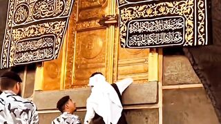 beautiful Videos