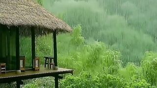 Beauty of Nature / Feel Relaxation