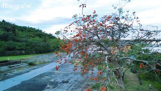 Nature never goes out of style.