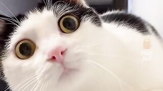 Fany video