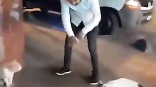 cat battle