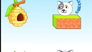 Savege Doge Level 17????????