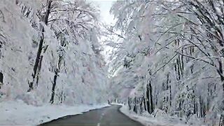 snoww