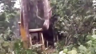 his huge snake discovered in the rainforest of the Dominica