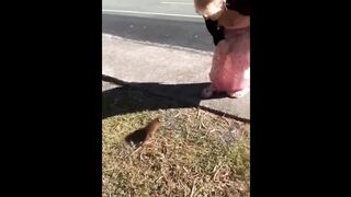 Funny Videos