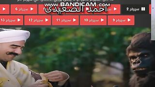 حب وغرام بين الكبيراوى والغوريلا او غوريه???????? (مربوحه مجروحه بسببهم)????????