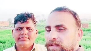 Jutts