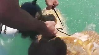 Funny video 1.