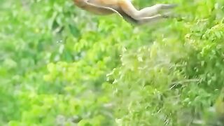 Funny video. 5