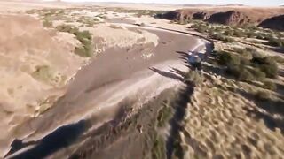 The poor lion was swallowed alive by a giant python, but luckily he was rescued by his teammates
