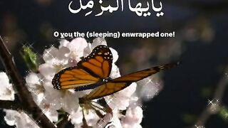 Surah Mummzail ???? Beautiful Quran recitation