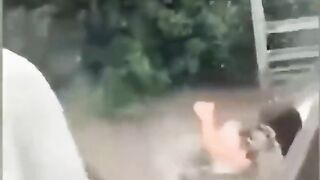 The End ???????????? #viral #shorts #funny #fails.