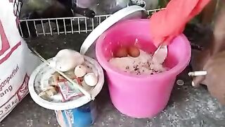 Senang rasanya punya MITRA yang kreatif dalam MERACIK pakan alternatif