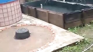 Ngabuburit nya dikolam saja, puasa berapa hari lagi ya❓
