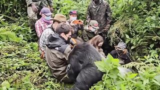 King Kong of Africa