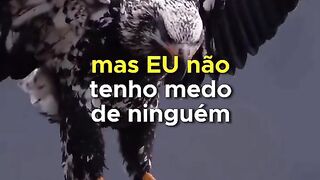 Reflexão da Vida ????