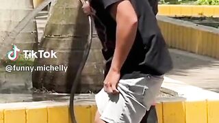 Funny vidéo