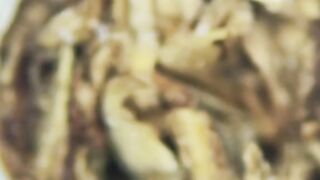 Cigarettes under a microscope
