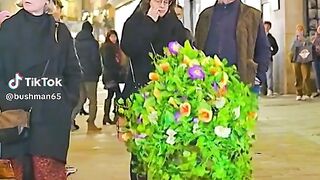 Funny vidéo