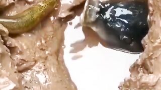 Nature can be strange sometimes.