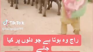 P t I Pakistan