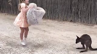 This family found an orphan kangaroo and helped to raise it, this is the baby kangaroo finding comfort in a pouch   ???? maggiebanton