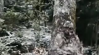 camouflage art