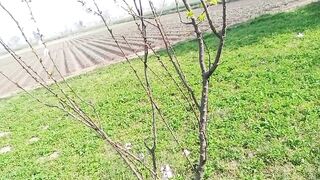 باغ کی سیر اور دیسی ماحول