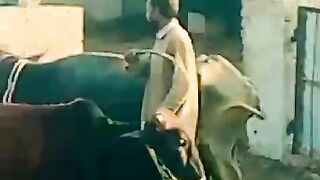 My Dera video