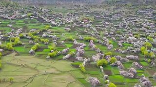 Travel Pakistan