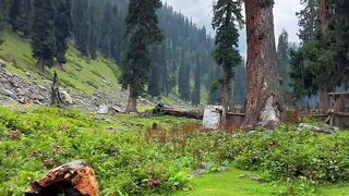 Travel Pakistan