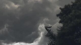 Sad song