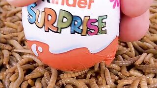 Kider joy