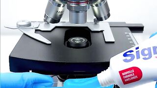 Microscope