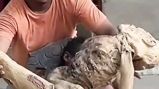 The sleeper