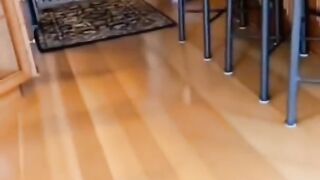 Try not to laugh???? Funny animals????‖ #shorts  #funnyvideos Subscribe to the channel