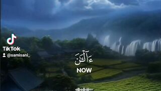 القران الكريم