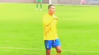 don't mess with the goat