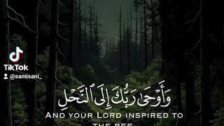 القران الكريم