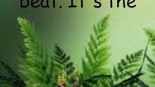best quotes