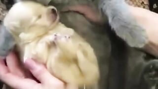 Hey one in a Million love cat ???????????? Subscribe to the channel