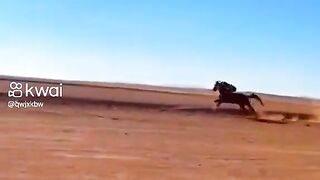 فرس الملاك جبريل عليه السلام