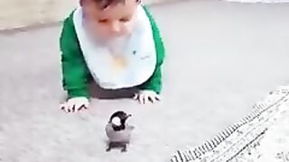 A funny meeting between a little boy and a bird