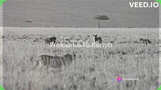 Magical Kenya-12 Travel Places You Must Visit