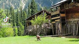 Kashmir beauty