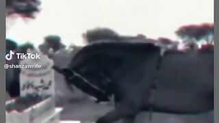 Sad video
