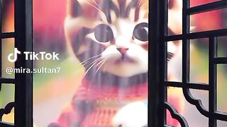 Cats ???? says