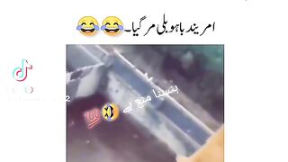 Funny video