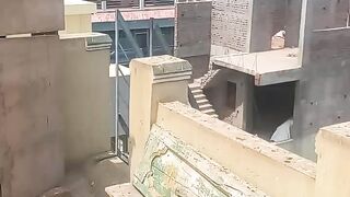 This video is most racing pigeons all types
