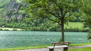 Lake view beauty